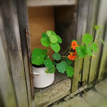 Nietuzinkowo Ubytování v soukromí *