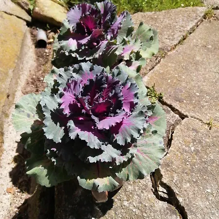 Nietuzinkowo Ubytování v soukromí