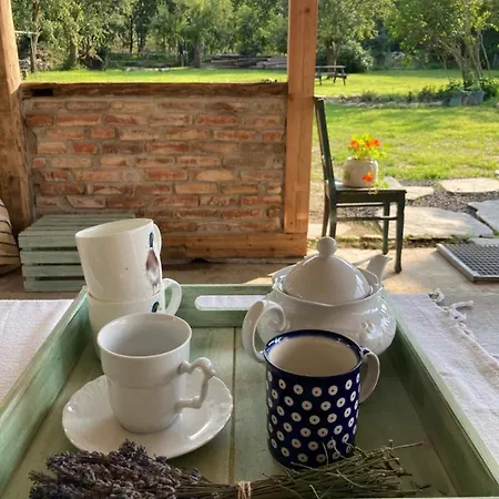 Ubytování v soukromí Nietuzinkowo Świeradów-Zdrój