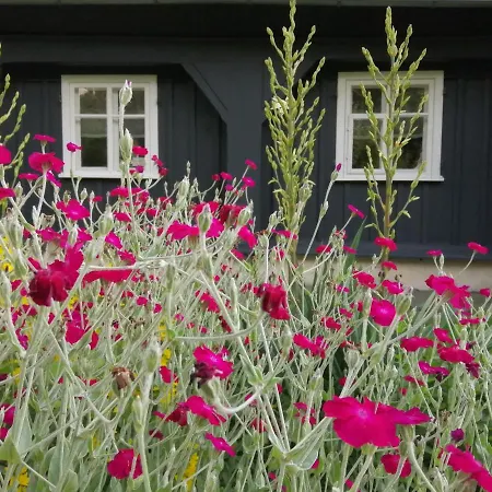 Ubytování v soukromí Nietuzinkowo