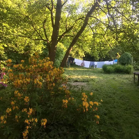 Nietuzinkowo * Świeradów-Zdrój