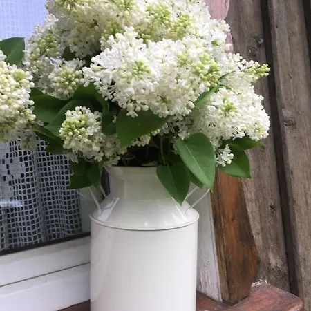 Nietuzinkowo Homestay Swieradow-Zdroj