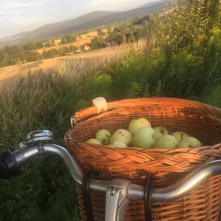 Homestay szállás Nietuzinkowo *