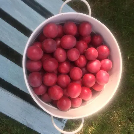 Nietuzinkowo Ubytování v soukromí Świeradów-Zdrój