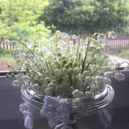 Nietuzinkowo Homestay szállás Świeradów-Zdrój