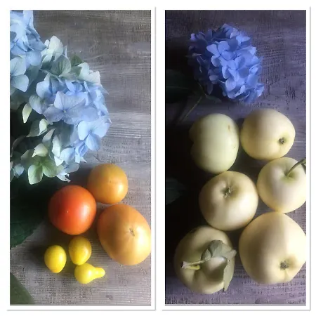 Nietuzinkowo Świeradów-Zdrój