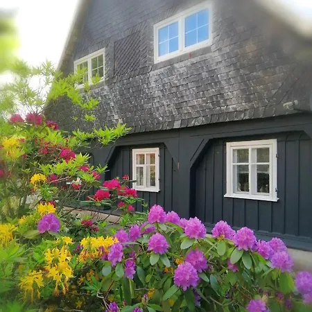 Nietuzinkowo Świeradów-Zdrój