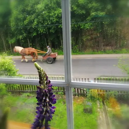 Nietuzinkowo * Świeradów-Zdrój