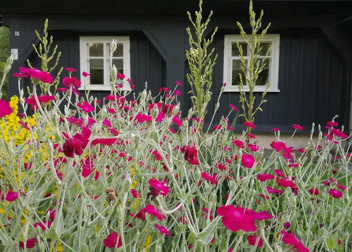 Privatunterkunft Nietuzinkowo