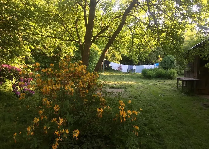 Nietuzinkowo * Świeradów-Zdrój