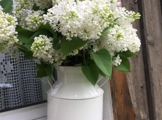 Nietuzinkowo Privatunterkunft Świeradów-Zdrój