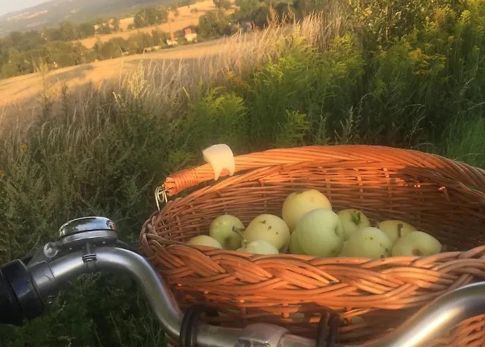 Homestay szállás Nietuzinkowo *