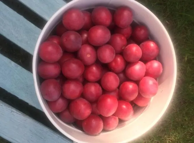 Nietuzinkowo Privatunterkunft Świeradów-Zdrój