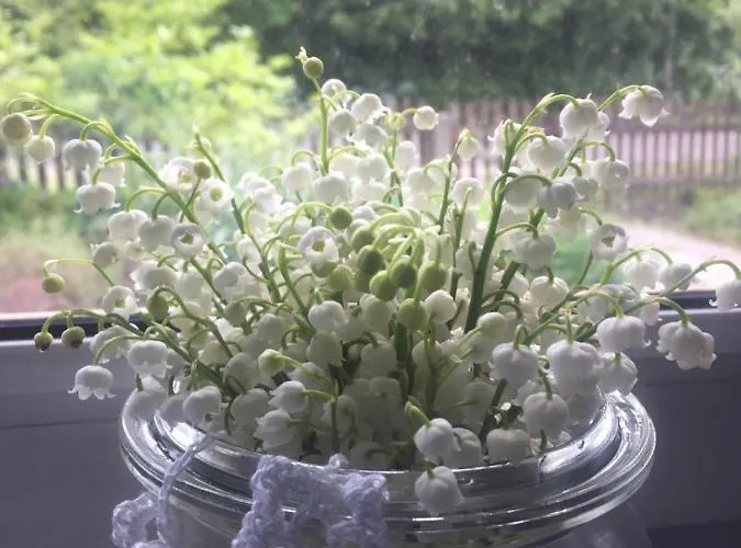 Nietuzinkowo Homestay Swieradow-Zdroj