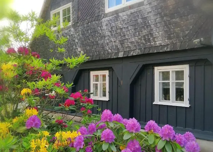 Nietuzinkowo Świeradów-Zdrój