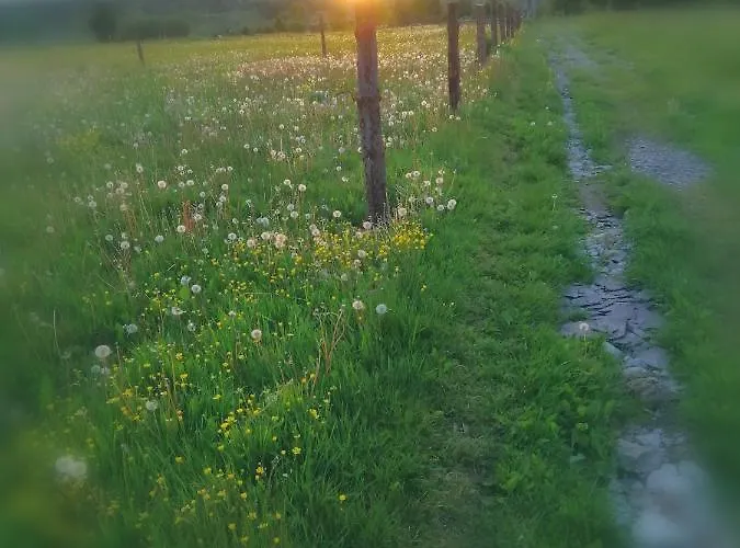 Privatunterkunft Nietuzinkowo *