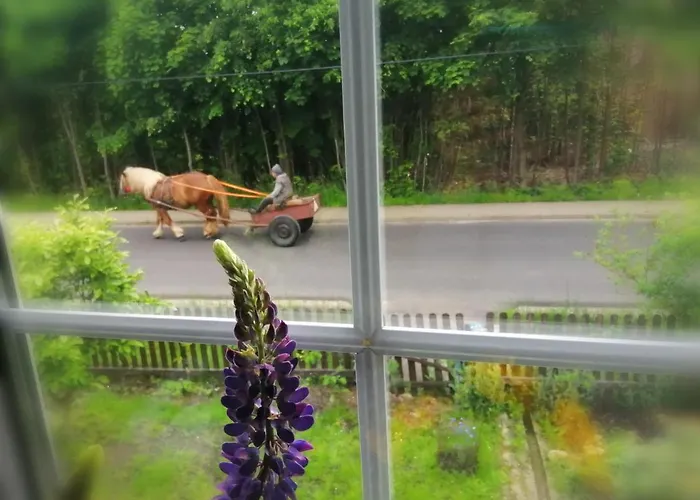 Nietuzinkowo * Świeradów-Zdrój